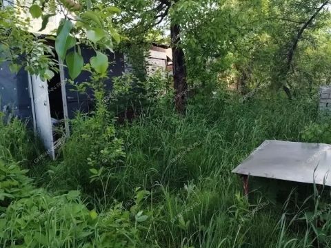 dacha-snt-doz-1-snt-doz-1 фото