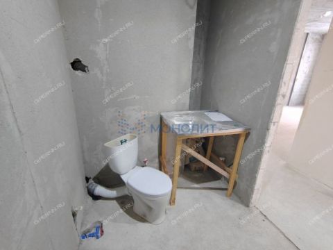 3-komnatnaya-derevnya-ankudinovka-kstovskiy-rayon фото