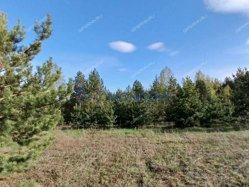 земельный участок 596,6 сотки Рабочая улица деревня Лапшиха