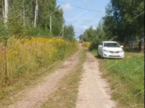 derevnya-hmelevaya-polyana-dalnekonstantinovskiy-rayon фото