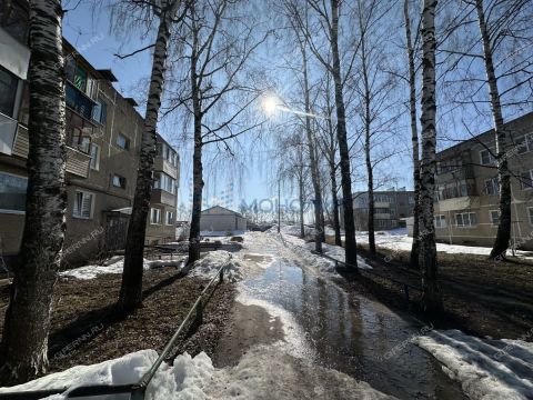 2-komnatnaya-selo-sheloksha-kstovskiy-rayon фото