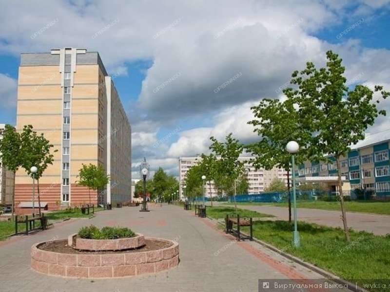 трёхкомнатная квартира в Центральном микрорайоне дом 9 город Выкса