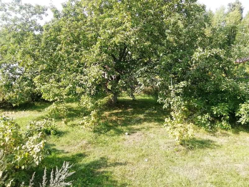 дом на СНТ Геолог посёлок при станции Осинки