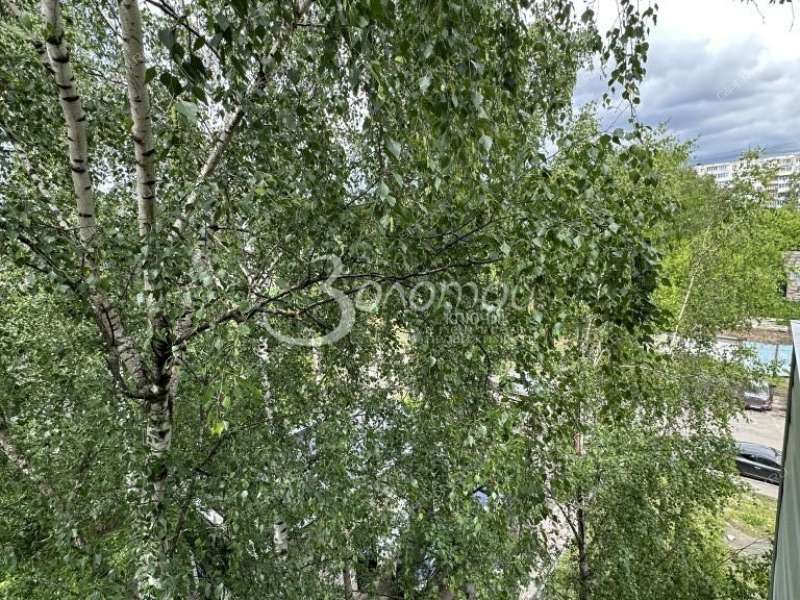трёхкомнатная квартира на проспекте Бусыгина дом 12