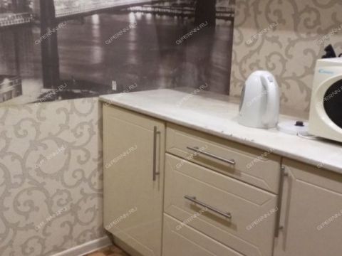 ul-shorina-d-8 фото