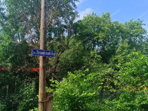 poselok-sovhoznyy-balahninskiy-municipalnyy-okrug фото