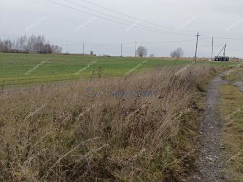 derevnya-polyany-bogorodskiy-municipalnyy-okrug фото