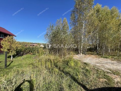 gorod-bor-gorodskoy-okrug-bor фото