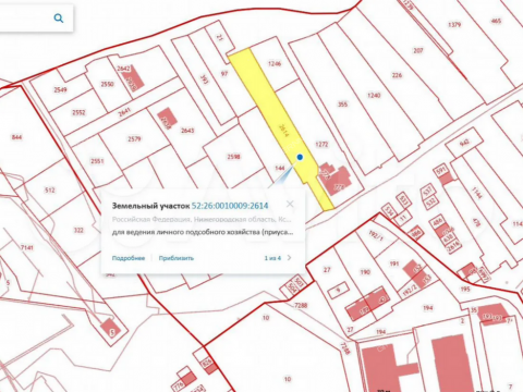 derevnya-nikulskoe-kstovskiy-rayon фото