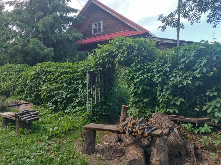 Фото: Валерия Ложкина / gipernn.ru