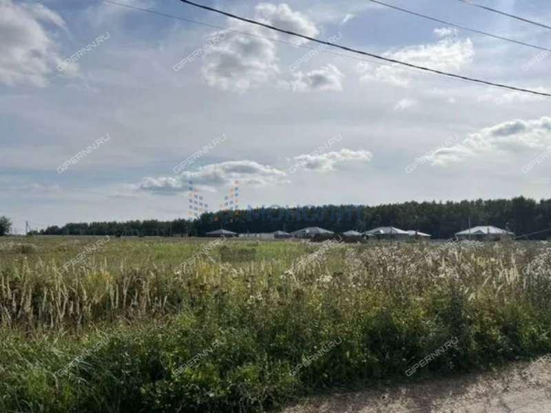 земельный участок 978 соток деревня Бугры