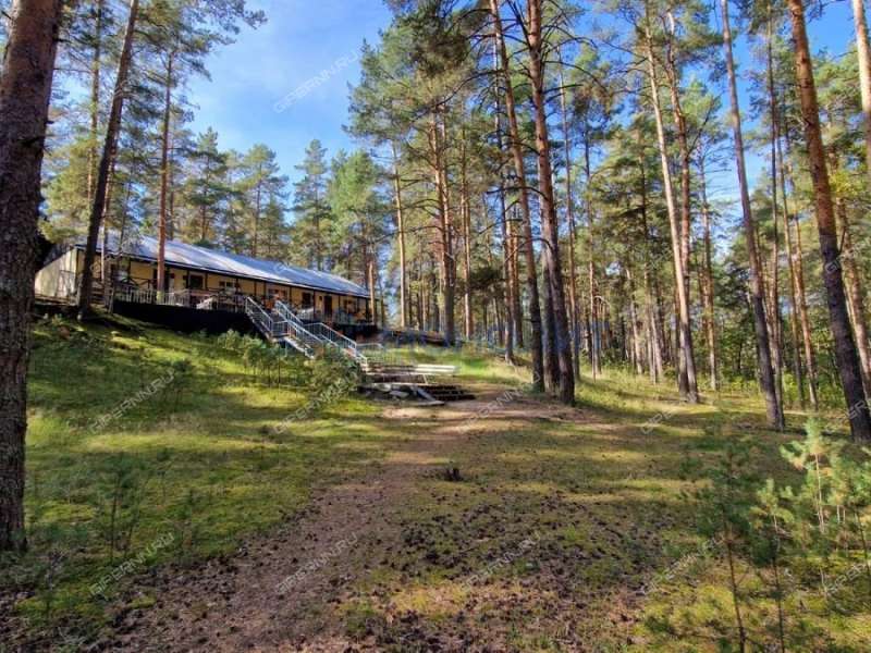 готовый бизнес выгодное предложение с быстрой окупаемостью в Павловском районе Нижегородской области