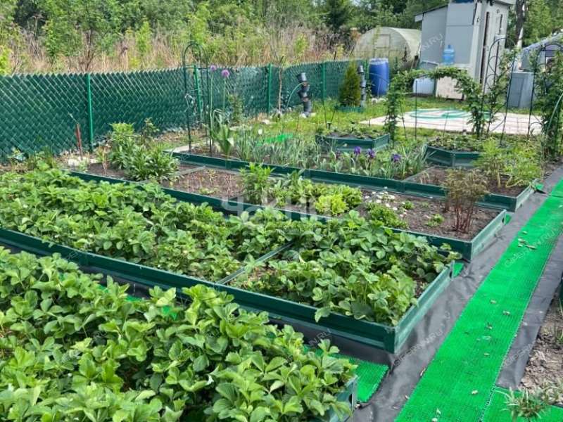 дача на Снт сад 4 Яблонька рабочий посёлок Горбатовка