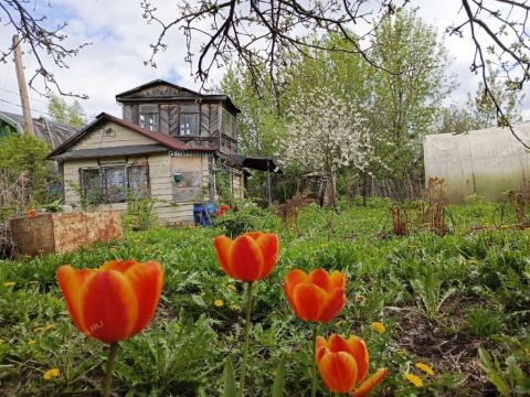 dacha-gorod-bor-gorodskoy-okrug-bor фото