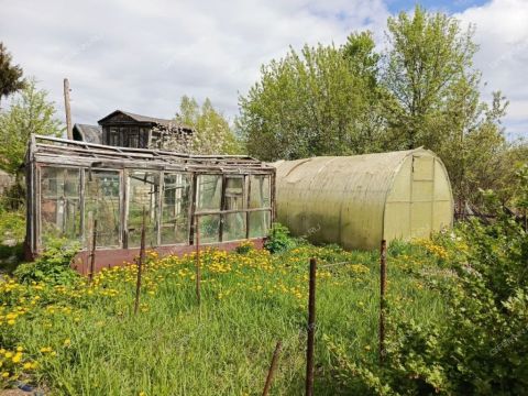 dacha-gorod-bor-gorodskoy-okrug-bor фото