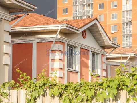 dom-derevnya-ankudinovka-kstovskiy-rayon фото