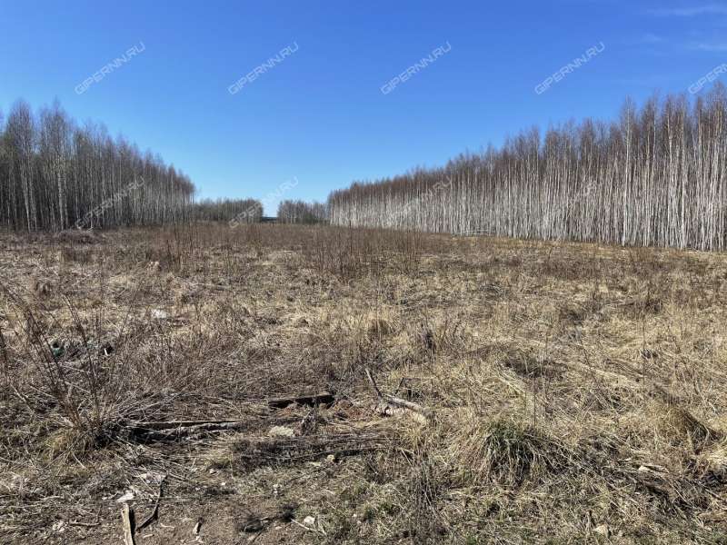 земельный участок под коммерческое использование в Кстовском районе Нижегородской области