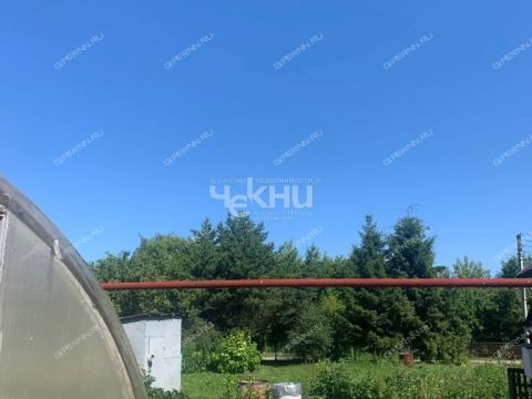 derevnya-kvasovo-gorodskoy-okrug-bor фото