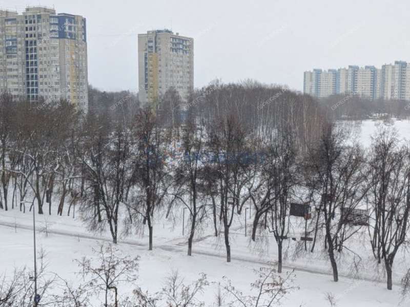 трёхкомнатная квартира на Молодёжном проспекте дом 38