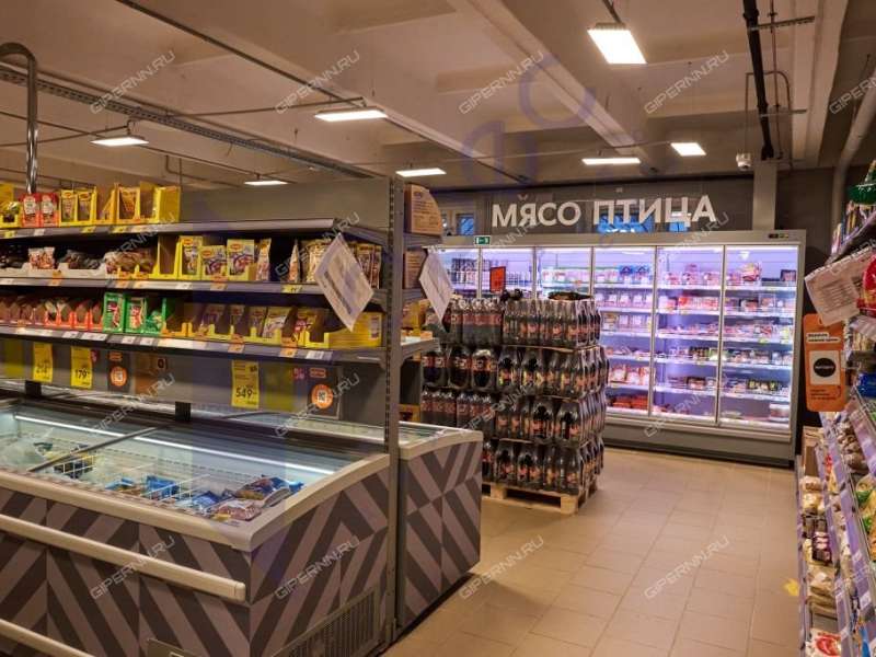 здание под торговую площадь на улице Некрасова город Саров
