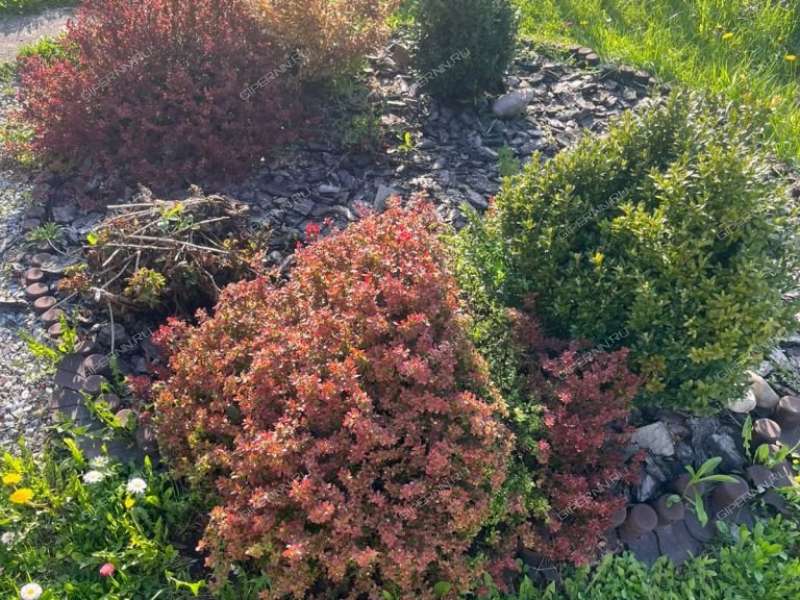 дача на снт Березка деревня Темряшино