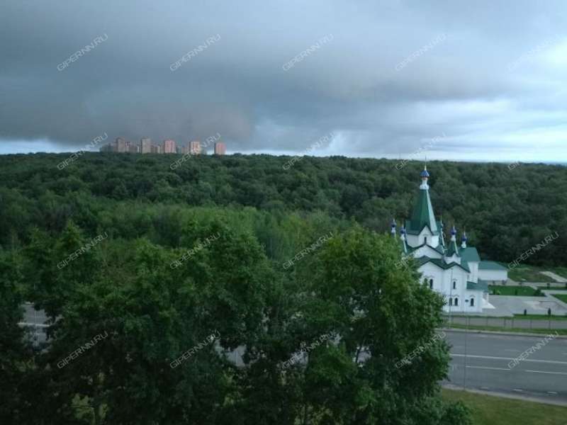 трёхкомнатная квартира на улице Академика Сахарова дом 119 к1