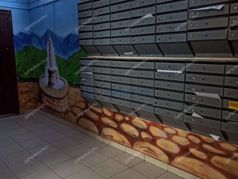 двухкомнатная квартира на Академической улице дом 3 деревня Афонино