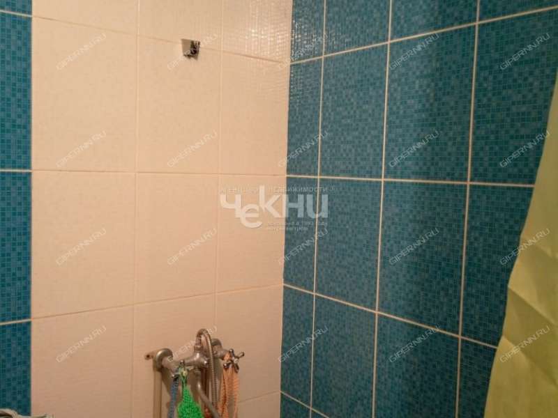 двухкомнатная квартира на Живописной улице дом 3