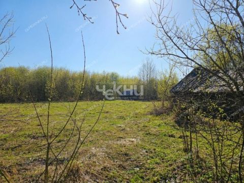 derevnya-blazhencovo-gorodeckiy-rayon фото