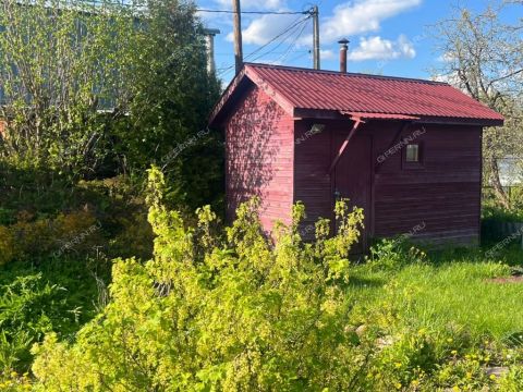 dacha-derevnya-temryashino-gorodskoy-okrug-bor фото