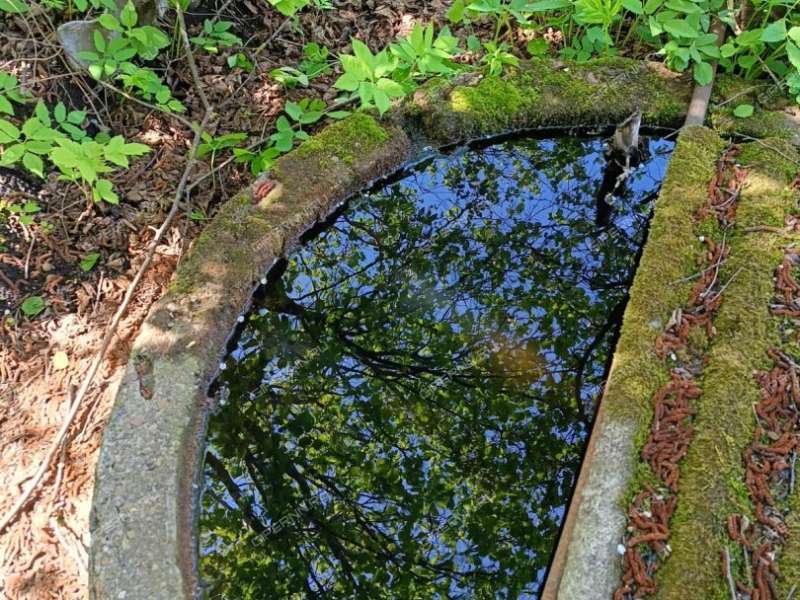 дача на город Дзержинск