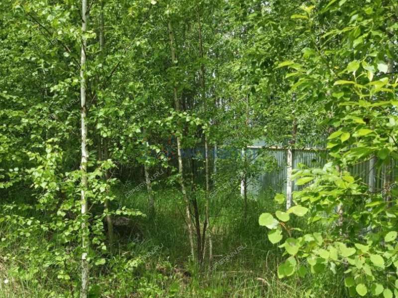 имущественный комплекс под производственную площадь на Новой улице село Строчково