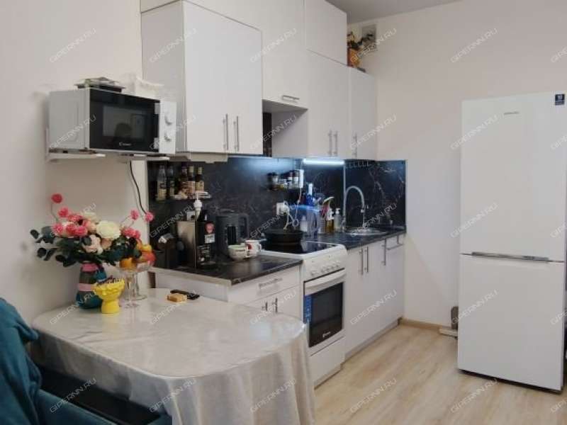 однокомнатная квартира на Русской улице улице дом 16 деревня Анкудиновка