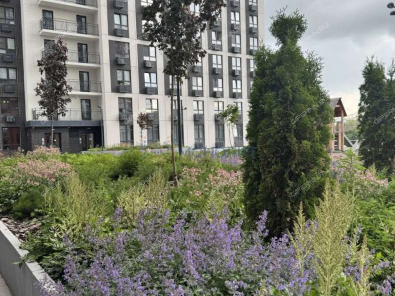 однокомнатная квартира на 2-й Оранжерейной улице дом 4Ак1