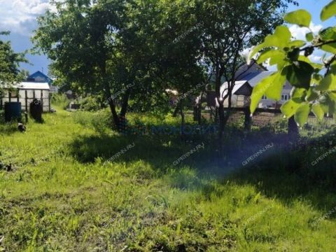 gorodskoy-okrug-bor-gorodskoy-okrug-bor фото