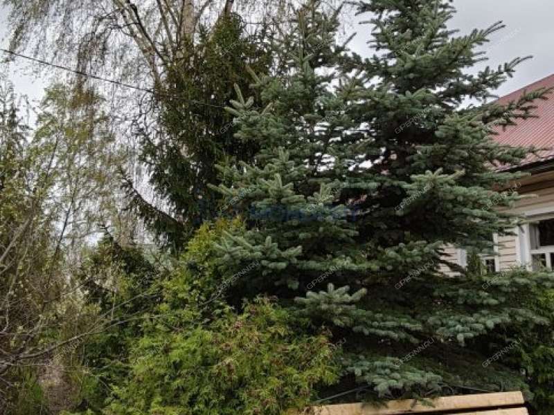 дом на - деревня Орехово