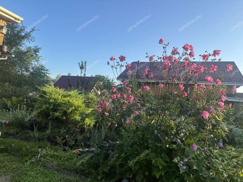 дом на Флотской улице село Елховка