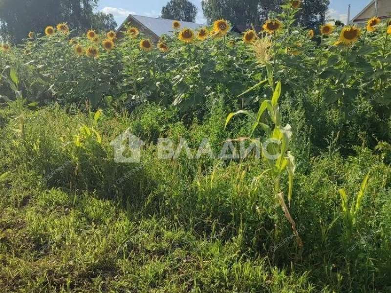 дом на Нагорной улице деревня Турбанка