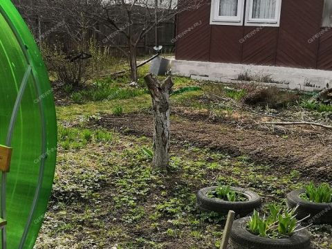 dacha-snt-n9-novoe-doskino фото