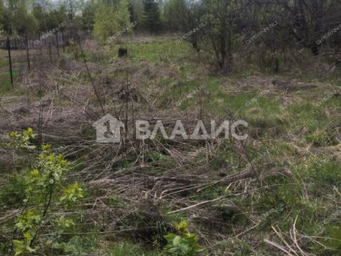 derevnya-apraksino-gorodskoy-okrug-bor фото