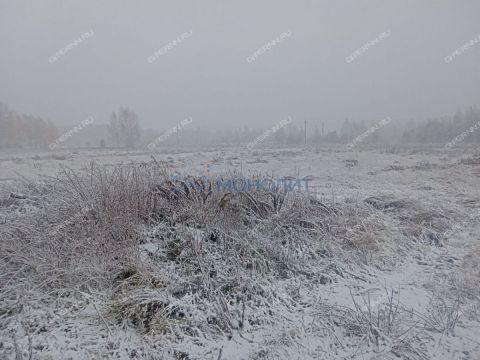 derevnya-burcevo-bogorodskiy-municipalnyy-okrug фото