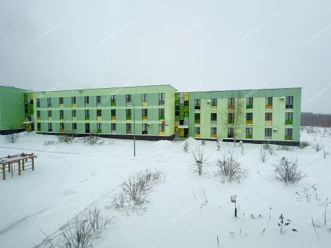 1-komnatnaya-poselok-kultura-kstovskiy-rayon фото