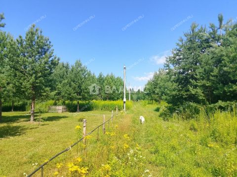 derevnya-inyutino-bogorodskiy-municipalnyy-okrug фото