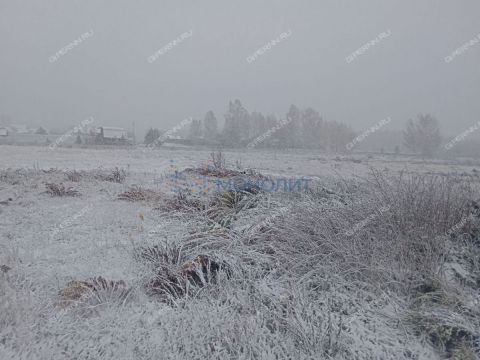 kottedzhnyy-poselok-burcevo-derevnya-burcevo-ter-bogorodskiy-municipalnyy-okrug фото