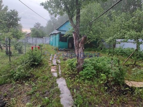 dacha фото